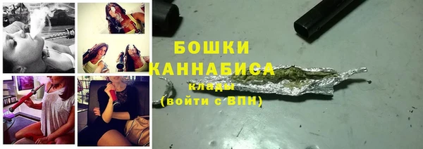 Альфа ПВП Бородино
