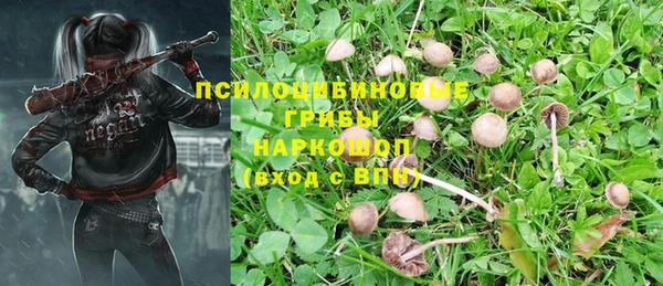 первитин Верея