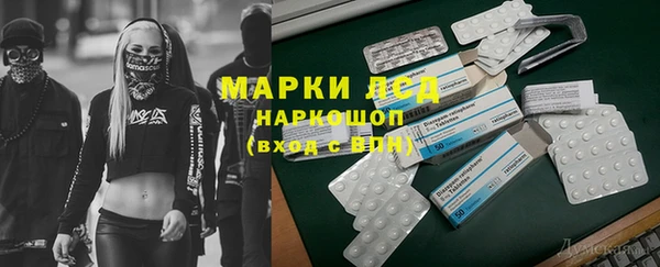 мяу мяу мука Инта
